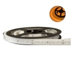 LCI - Ruban led IP67 24V 5m 2835 19,2W/m 128leds AMBRE 10/12mm