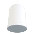 CAE Data - Enceinte Suspendue - 20W / 100V - IP55