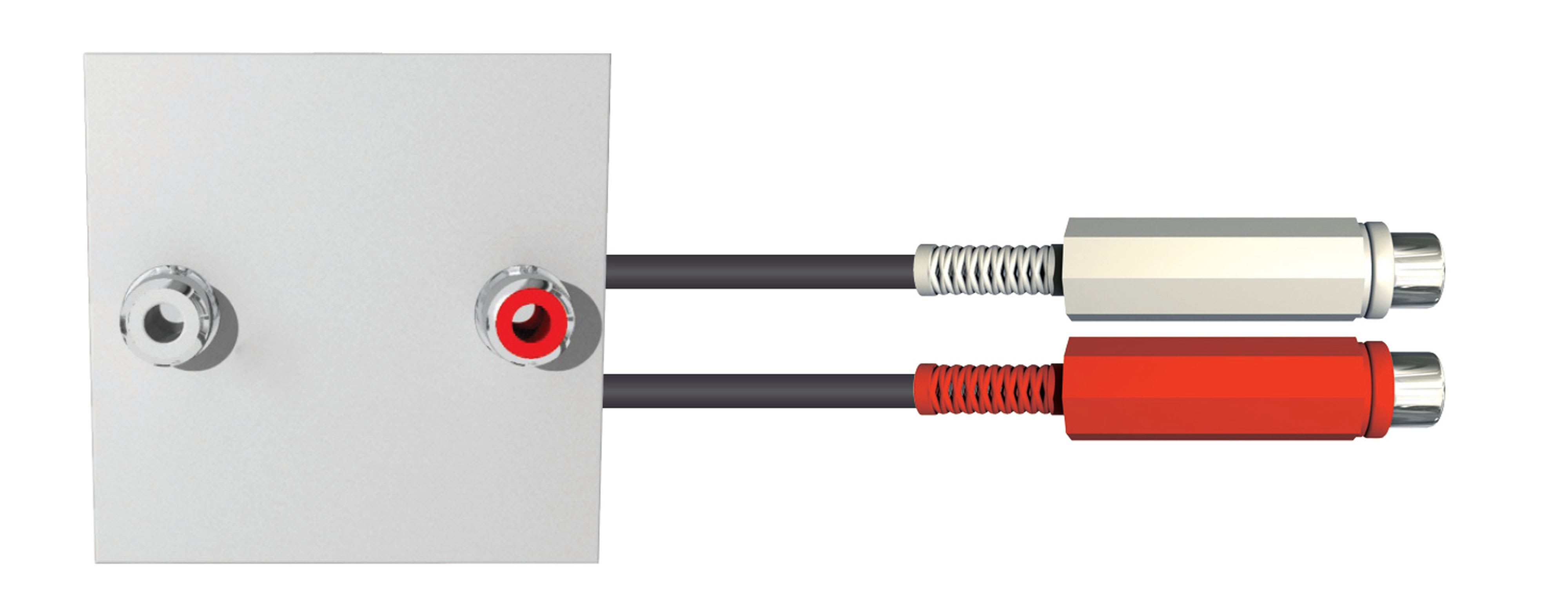 CAE Data - Plastron 2 RCA raccordé 0.20 m