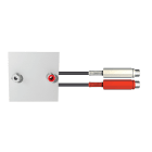CAE Data - Plastron 2 RCA raccordé 0.20 m