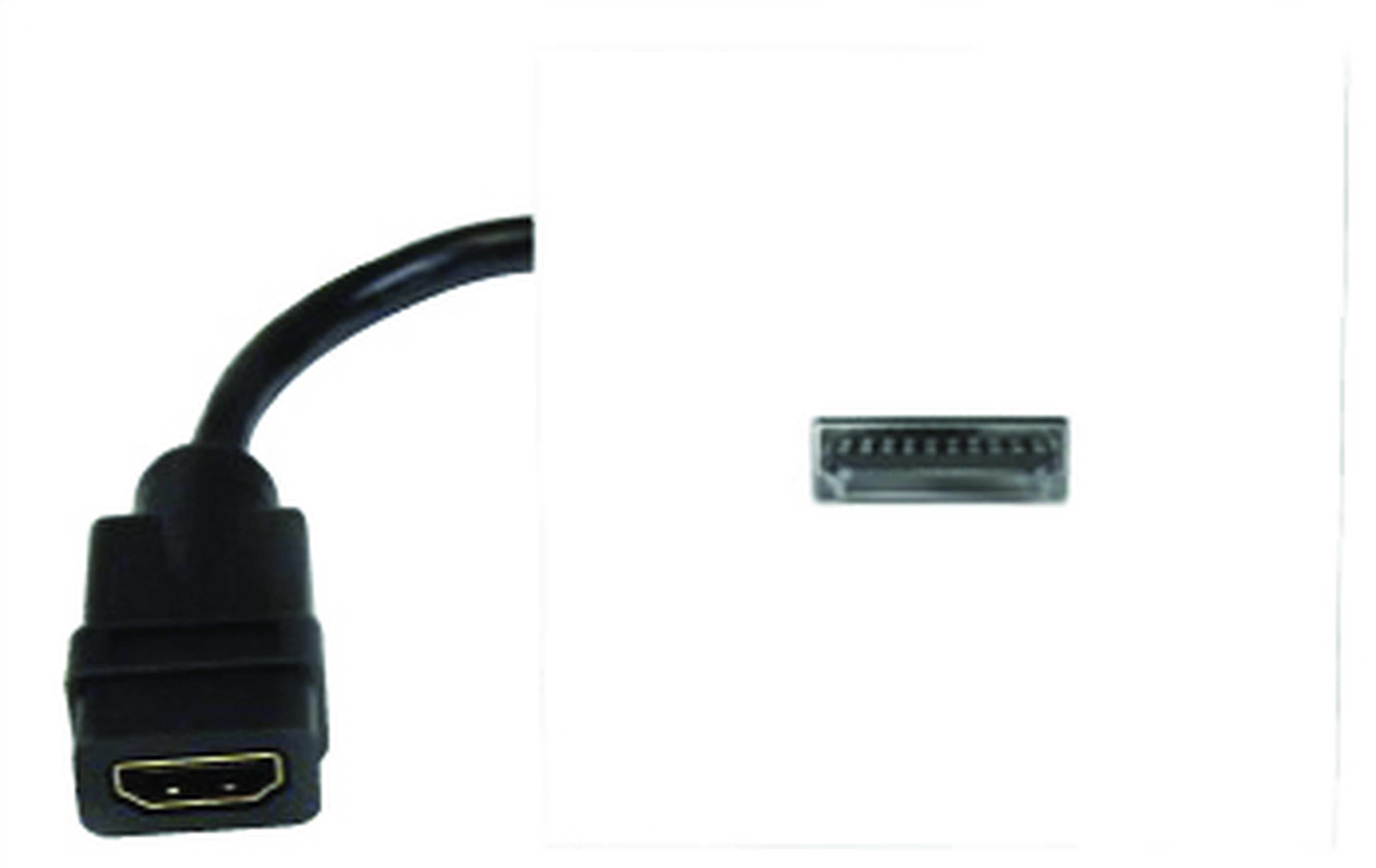 CAE Data - Plastron HDMI avec cordon femelle