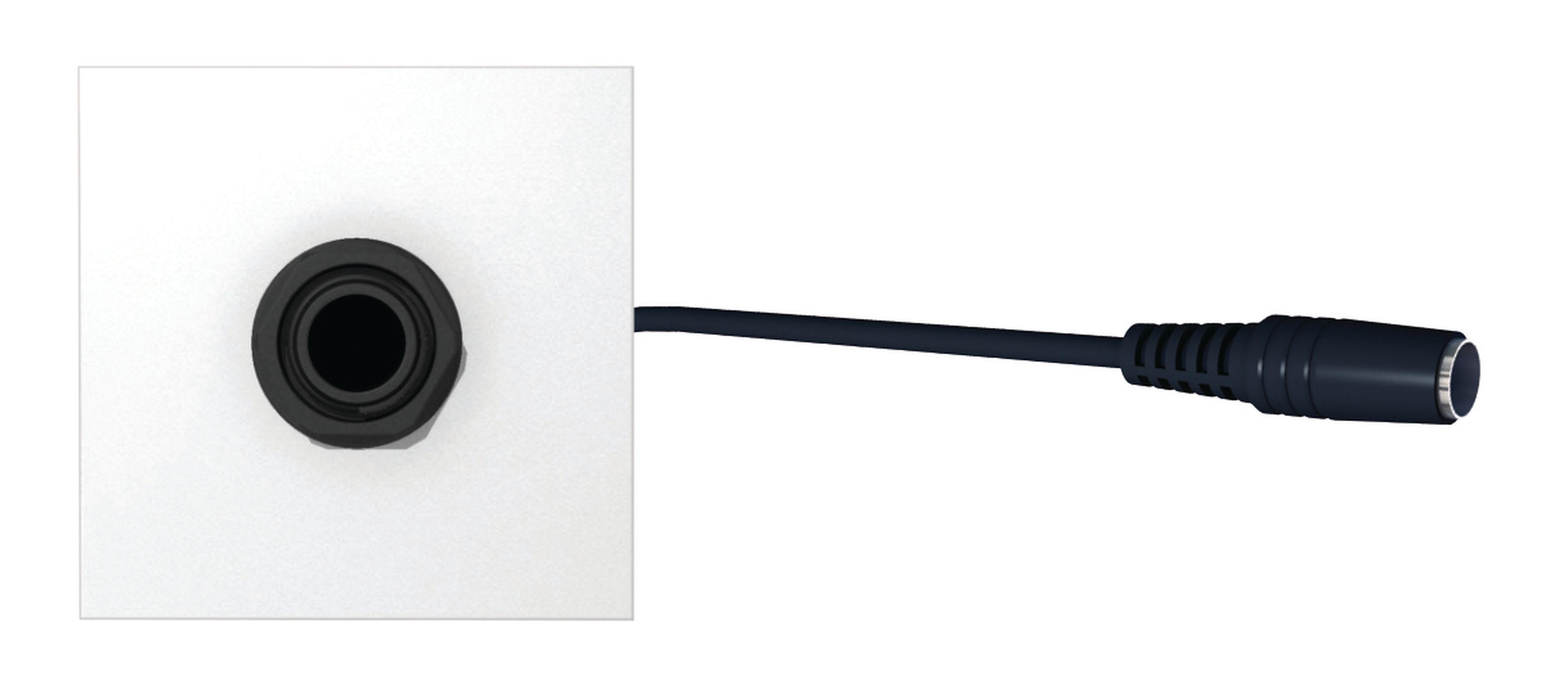 CAE Data - Plastron JACK raccordé - 0.20 m