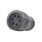 CAE Data - CONNECTEUR 19 POLES - FEMELLE POUR RNF3G2.50 MM2 - SPIDER
