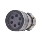 CAE Data - FICHE MALE 19 POLES - 2.50MM2 FICHE MALE 19 POLES AVEC BAGUE