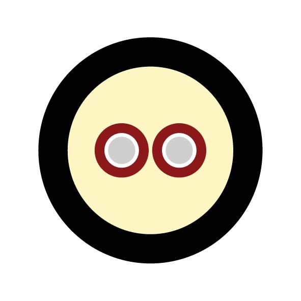 CAE Data - FIBRE OPTIQUE 2 BRINS LSZH-UV G657A2 DCA TOURET BOIS 500M