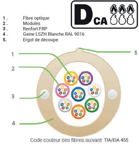 CAE Data - CABLE OPT 72FO 12 MODULES 6FO