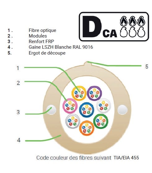 CAE Data - CABLE OPT 144FO 24 MODULES 6FO mono mode (24x6FO)