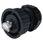 CAE Data - PLUG RJ45 CAT6A IP68