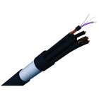 CAE Data - AUDIO ANALOGIQUE 48 PAIRES 0.22 MM2 - PVC NOIR