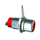 CAE Data - EMBASE FEMELLE RCA - BLANC