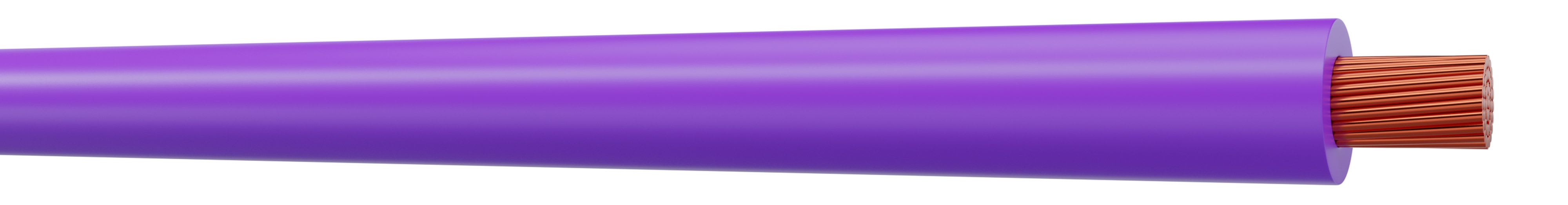 CAE Data - H07V-K 2,5 VIOLET
