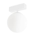 Faro - NESO UNIK 3000K blanc SMD LED 5W 3000K IP 20 24VCV classe III 24V DC