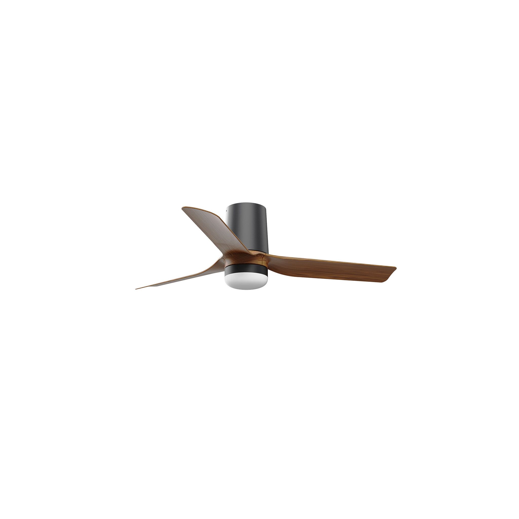 Faro - Ventilateur de plafond avec lumière noir  DC