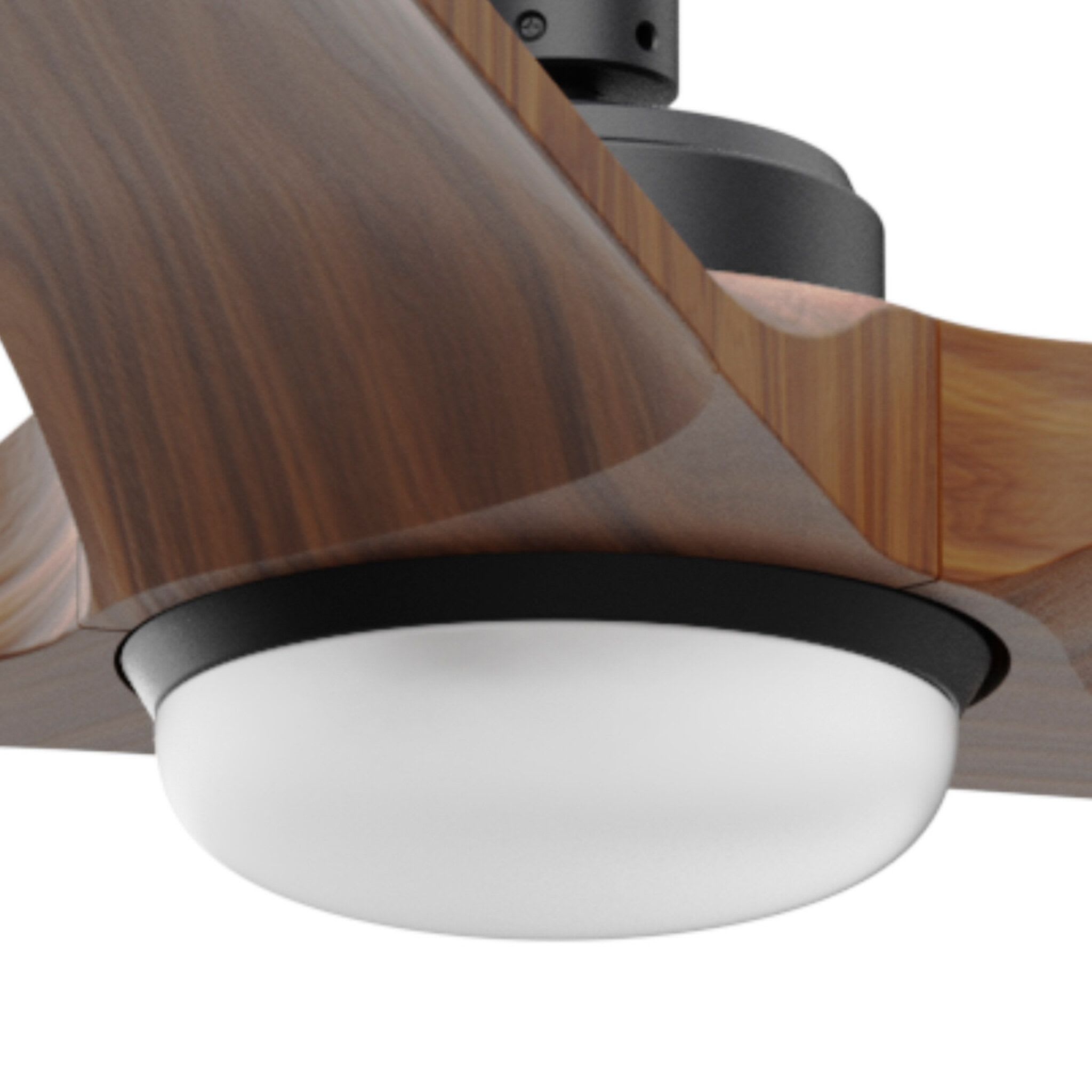 Faro - Kit de lumière noir pour HEY / Heywood CCT dimable