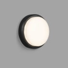 Faro - Tom Xl Led Lampe Applique Gris Foncé SMD LED 50/60Hz 11W3000K IP 65 IK 10600lm c