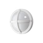 SG Lighting - Solo hublot extérieur blanc E27 classe I IP44