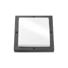 SG Lighting - Basso hublot carré graphite 2xE27 classe I IP65 IK10 850°