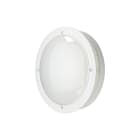 SG Lighting - Piano 2000 hublot blanc 1500lm 3000K Ra>80 coupure de phase descendante