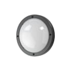SG Lighting - Primo 1100 hublot extérieur graphite 780lm 4000K Ra>80 non dimmable