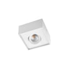SG Lighting - Cube Lux downlight blanc DimToWarm 520lm 2000-2800K Ra>95 coupure de phase