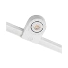 SG Lighting - Zip Star spot rail 1 allumage blanc DTW 400lm 2000-2800K Ra>90 coupure de phase