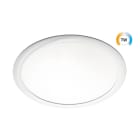 SG Lighting - Sense 495 downlight blanc 3290lm 2700-6500K Ra>80 Tunable White DALI Type 8
