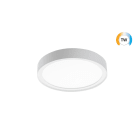 SG Lighting - Disc 290 luminaire en saillie TW blanc 1890lm (6500K) 2700-6500K Ra>80 LEDDIM