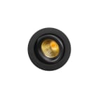 SG Lighting - Junistar DTW downlight noir/or 520lm 2000-2800K Ra>95 coupure de phase