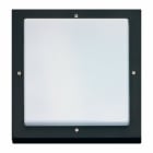 SG Lighting - Bassi hublot carré noir E27 classe I IP65