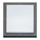 SG Lighting - Bassi hublot carré graphite E27 classe I IP65