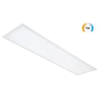 SG Lighting - Sense Encadrement encastré 300x1200 blanc Plaque de plâtre/Troldtekt