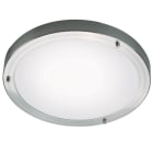 Nordlux - Plafonnier - ANCONA Maxi - Verre - Acier Brossé -  E27