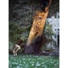Vignette Photo produit ambiance 2