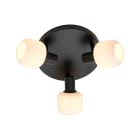 Nordlux - Plafonnier - MILFORD Mini X3 - Verre - Noir -  E14