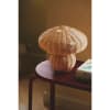 Vignette Photo produit ambiance 6
