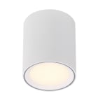 Nordlux - Surface spot - FALLON LONG - Métal - Blanc - LED Module Incl.