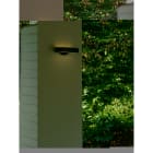 Nordlux - Applique murale - MONAY - Matière plastique - Noir - LED Module Incl.