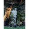 Vignette Photo produit ambiance 2