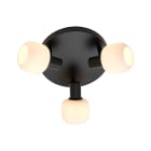 Nordlux - Plafonnier - MILFORD Mini X3 - Verre - Noir - E14