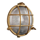 Nordlux - Applique murale - POLPERRO - Laiton - Laiton - E27