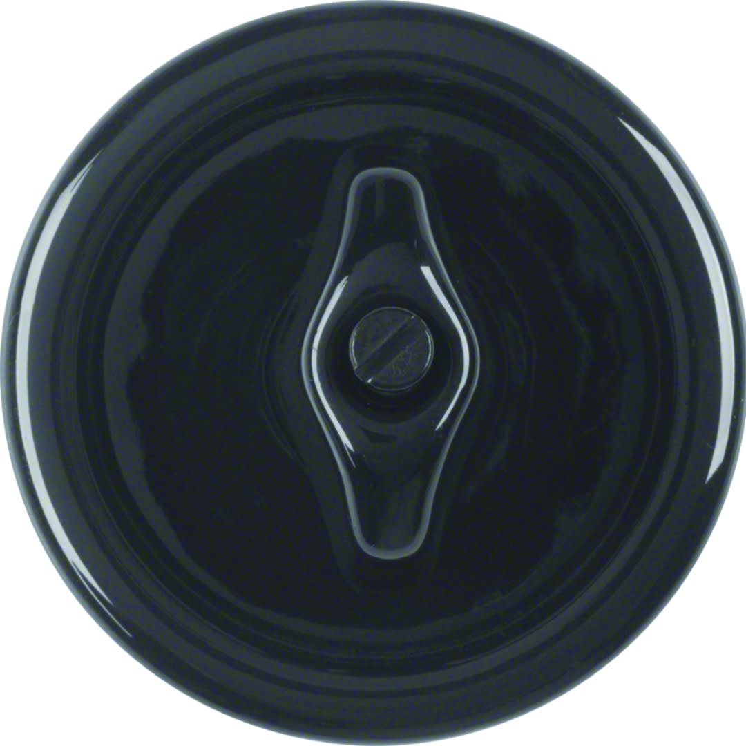 Hager - 1930 Enjo+manette rotativ noir Porcelaine by Rosenthal