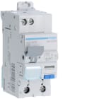 Hager - Disjoncteur différentiel 20A 1P+N 4,5kA Courbe C 30mA type AC 60Hz 2 modules