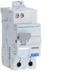 Hager - Disjoncteur différentiel 25A 1P+N 4,5kA Courbe C 30mA type AC 60Hz 2 modules