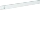 Hager - Moulure Ateha 12x20mm 1 compartiment PVC blanc