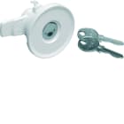 Hager - Serrure à clé n° 1242E livrée avec 2 clés pour armoire univers IP44/54