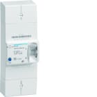 Hager - Disjoncteur de branchement différentiel 2 pôles 15/45 A 500 mA instantané