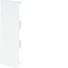 Hager - Embout pour goulotte de distribution lifea LFF et FB 60x150mm Blanc
