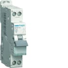 Hager - Disjoncteur Phase + Neutre 10A 3kA Courbe C bornes à vis 1 Module