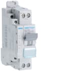 Hager - Disjoncteur fil pilote Phase + Neutre 16A 3kA Courbe C bornes à vis 1,50 Modules