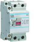 Hager - Interrupteur de coupure à déclenchement libre 2P 63A